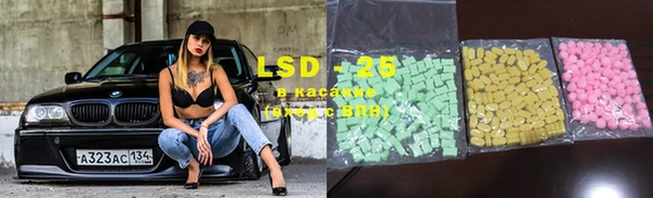 ECSTASY Белокуриха
