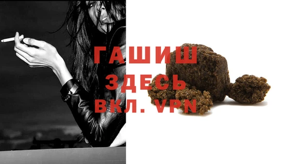 ECSTASY Белокуриха