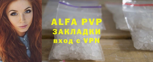 ECSTASY Белокуриха