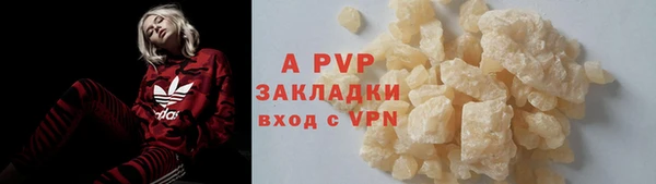 ECSTASY Белокуриха