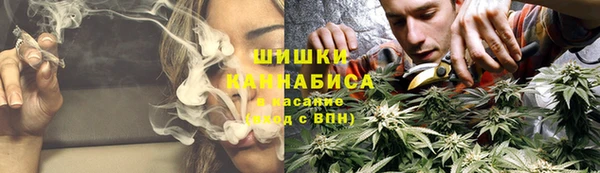 ECSTASY Белокуриха