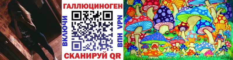 что такое   кракен зеркало  Псилоцибиновые грибы Psilocybe  Горячий Ключ 