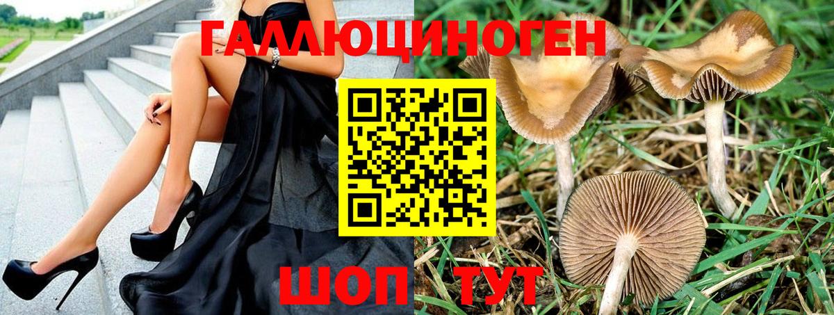 Псилоцибиновые грибы мухоморы Горячий Ключ