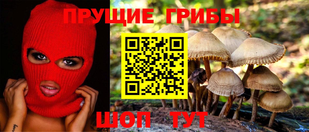 Галлюциногенные грибы Magic Shrooms  Вход с VPN  Горячий Ключ 